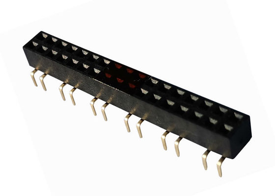 intestazione femminile 3A di fila doppia femminile 2×12P di 2.54mm