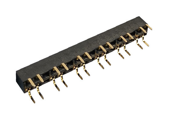 intestazione femminile 3A di fila doppia femminile 2×12P di 2.54mm